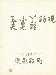 王小丫的现任丈夫是谁