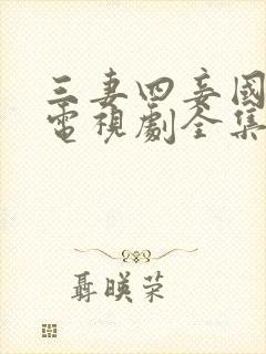 三妻四妾国语版电视剧全集免费观看