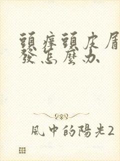 头痒头皮屑掉头发怎么办