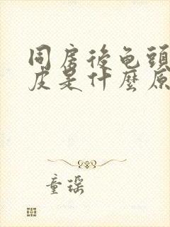 同房后龟头痒脱皮是什么原因封面