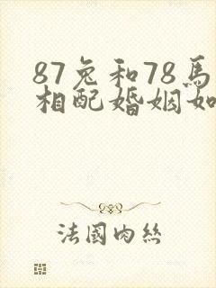 87兔和78马相配婚姻如何