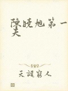 陈晓旭第一任丈夫