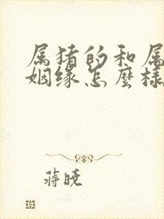 属猪的和属龙的姻缘怎么样