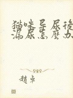 猫咪导尿后一直漏尿怎么办封面