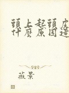 头上起头皮屑是什么原因造成的封面