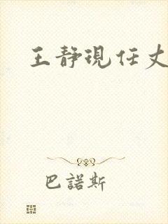 王静现任丈夫封面