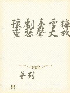 豫剧秦雪梅见夫灵悲声大放伴奏封面