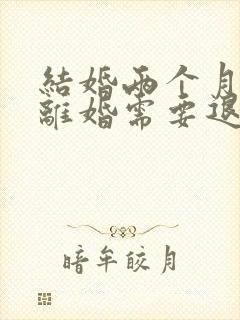 结婚两个月家暴离婚需要退彩礼吗