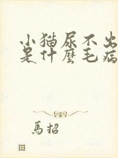 小猫尿不出来尿是什么毛病封面