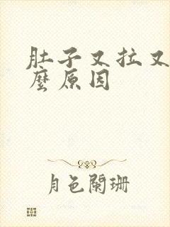 肚子又拉又痛什么原因