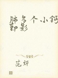 肺多个小钙化结节影