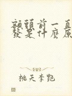 额头前一直长白发是什么原因