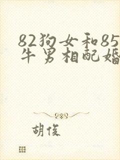 82狗女和85牛男相配婚姻如何封面