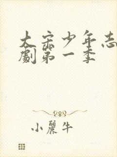 大宋少年志电视剧第一季封面