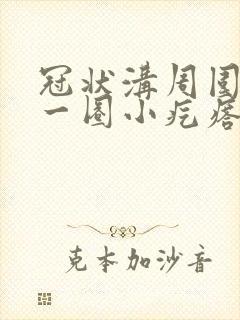 冠状沟周围长了一圈小疙瘩