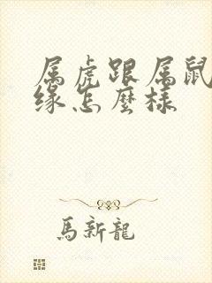 属虎跟属鼠的姻缘怎么样