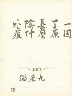 外阴长了一个痘痘什么原因