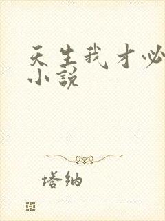 天生我才必有用小说