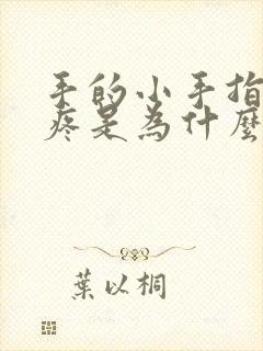 手的小手指关节疼是为什么