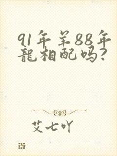 91年羊88年龙相配吗?
