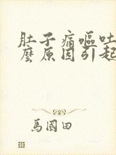 肚子痛呕吐是什么原因引起的