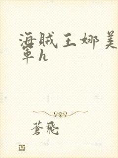 海贼王娜美被海军h