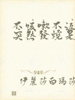 不咳嗽不流鼻涕突然发烧是怎么回事