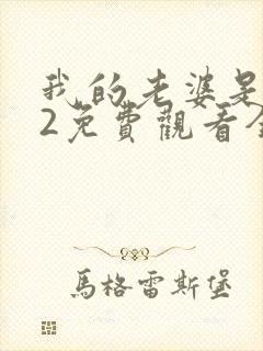 我的老婆是大佬2免费观看全集完整版高清封面