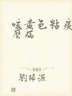 咳黄色粘痰是什么病