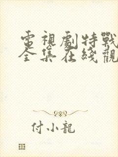 电视剧特战行动全集在线观看封面