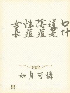 女性阴道口周边长痘痘是什么原因