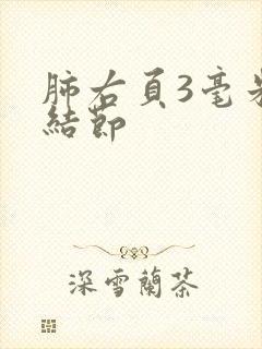 肺右页3毫米小结节