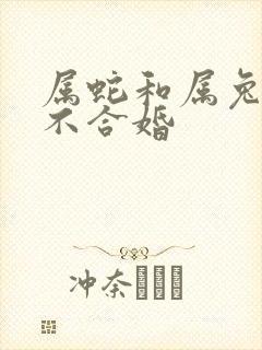 属蛇和属兔的合不合婚