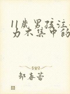 11岁男孩注意力不集中的训练方法