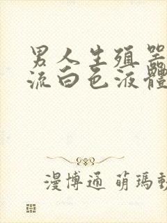 男人生殖器官里流白色液体