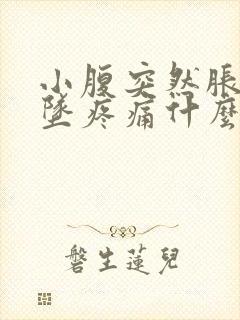 小腹突然胀痛下坠疼痛什么情况