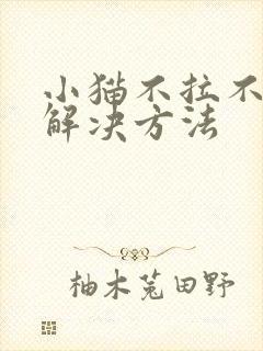 小猫不拉不尿的解决方法封面