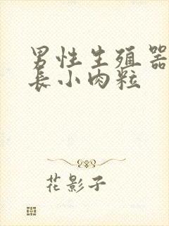 男性生殖器根部长小肉粒