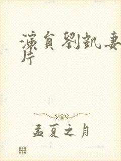 演员刘凯妻子照片