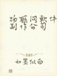 物联网软件开发制作公司