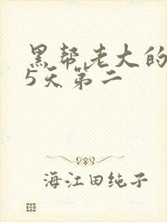 黑帮老大的365天第二