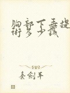 胸部下垂提升手术多少钱封面