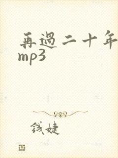 再过二十年伴奏mp3封面