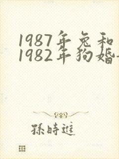 1987年兔和1982年狗婚姻