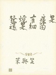 发烧有痰是病毒还是细菌封面