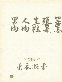 男人生殖器长小肉肉粒是怎么回事