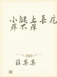 小腿上长疙瘩不疼不痒