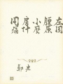 同房小腹左边疼痛什么原因