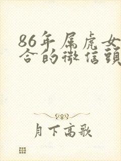 86年属虎女适合的微信头像封面