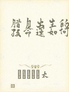 腊月出生的的男孩命运如何